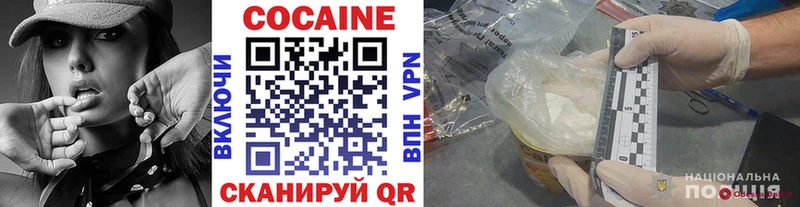 Купить закладку COCAIN  Галлюциногенные грибы  Меф мяу мяу  Гашиш  Бошки Шишки  Славгород