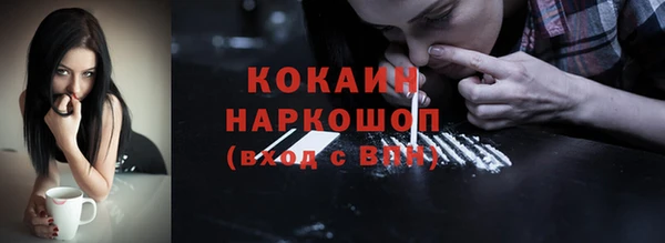 крисы Киренск