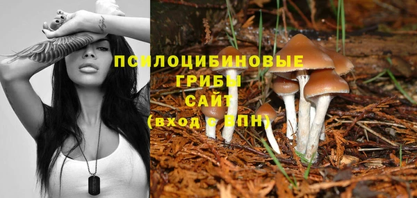 крисы Киренск