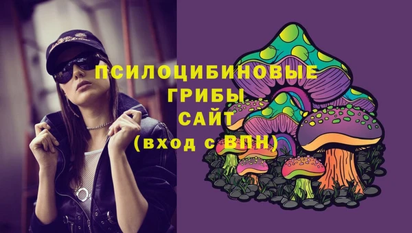прущие грибы Кодинск