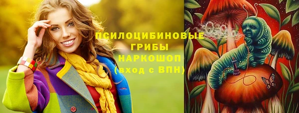 прущая мука Козловка