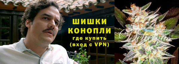 крисы Киренск