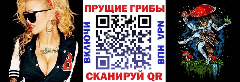 Купить где  Славгород  Псилоцибиновые грибы MAGIC MUSHROOMS 