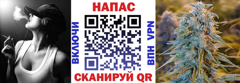 Марихуана план  Купить где  Славгород 